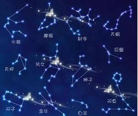 12月是什么星座